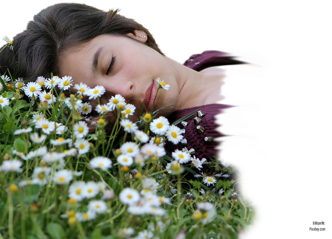 motiv_tinnitusneu_klein